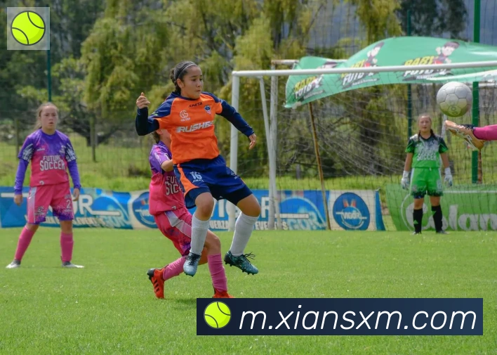 必一体育官网发展历程