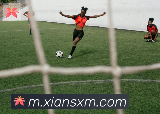 必一体育官网APP 体育赛事宣传图