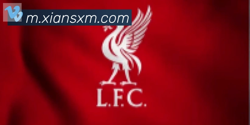 必一体育官网合作伙伴